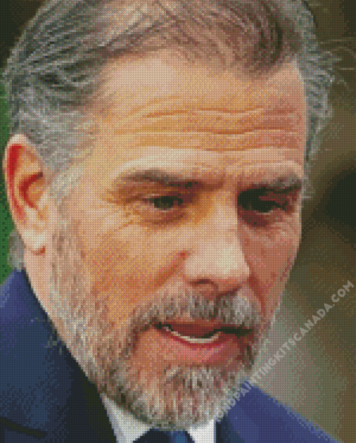 Close up Hunter Biden Diamond Painting