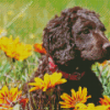 Curly Puppy with Orange Flowers Diamond Painting