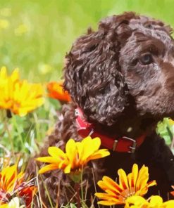 Curly Puppy with Orange Flowers Diamond Painting
