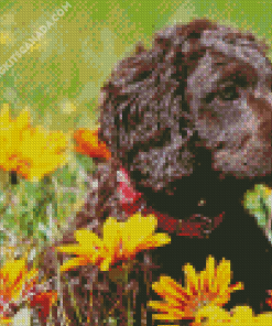 Curly Puppy with Orange Flowers Diamond Painting