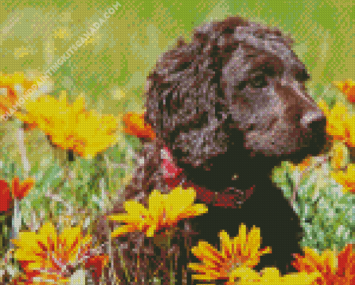 Curly Puppy with Orange Flowers Diamond Painting