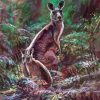 Eastern Grey Kangaroos Art Diamond Painting