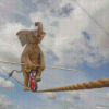 Elephant With Unicycle On A Tightrope Diamond Painting