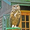 Eurasian Eagle Owl Diamond Painting