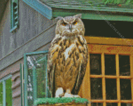 Eurasian Eagle Owl Diamond Painting