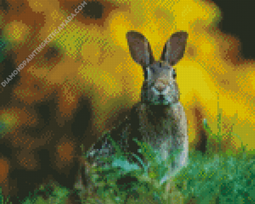 European Rabbit Looking at Camera Diamond Painting