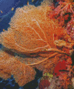 Fan Coral With Fishes Diamond Painting