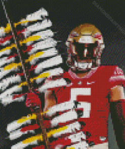 Florida State Seminoles Football Diamond Painting