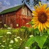 Flowers and Barn Diamond Painting