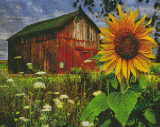 Flowers and Barn Diamond Painting