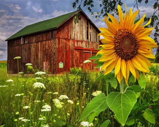 Flowers and Barn Diamond Painting