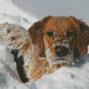 Golden Retriever Snow Diamond Painting