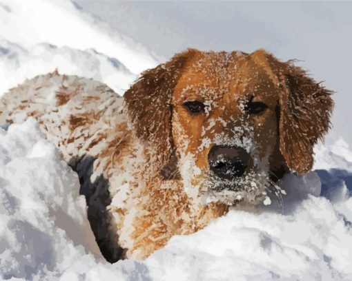 Golden Retriever Snow Diamond Painting