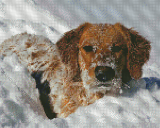 Golden Retriever Snow Diamond Painting