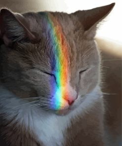 Grey Rainbow Cat Diamond Painting