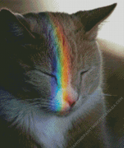 Grey Rainbow Cat Diamond Painting