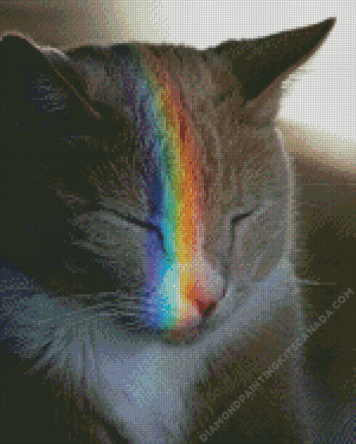 Grey Rainbow Cat Diamond Painting