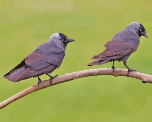 Jackdaw Birds On Stick Diamond Painting