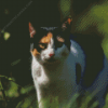 Japanese Bobtail Diamond Painting