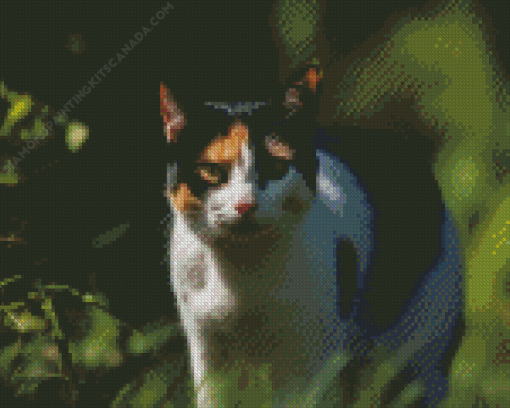 Japanese Bobtail Diamond Painting