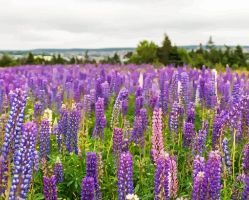 Lupines Purple Flowers Field Diamond Painting