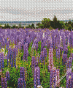 Lupines Purple Flowers Field Diamond Painting