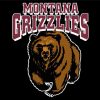 Montana Grizzlies Logo Diamond Painting