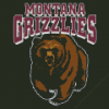 Montana Grizzlies Logo Diamond Painting