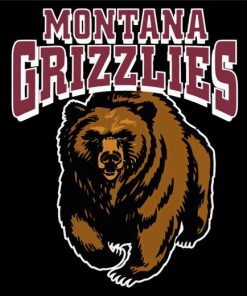 Montana Grizzlies Logo Diamond Painting