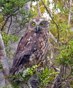 Morepork Diamond Painting