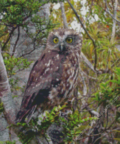 Morepork Diamond Painting