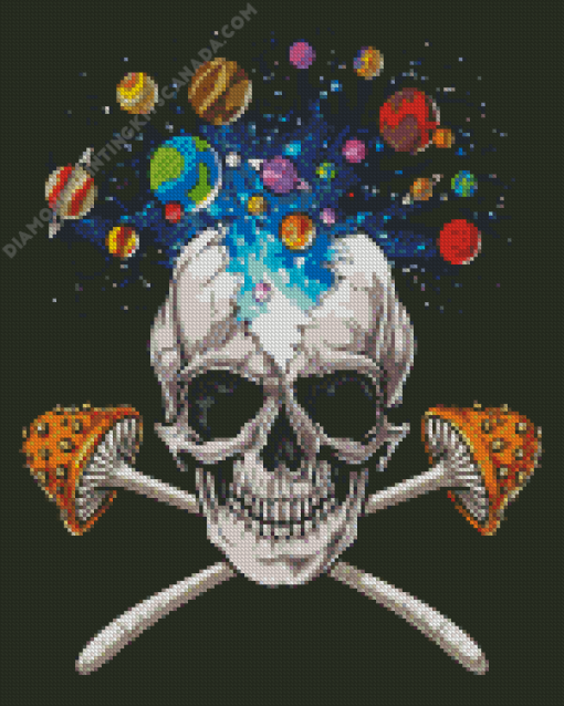 Mushroom Skeleton With Space Diamond Painting