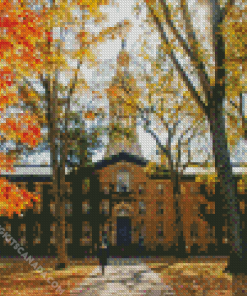 New Jersey Princeton University Diamond Painting