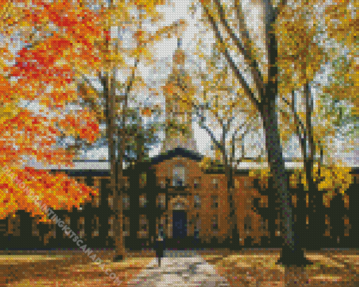 New Jersey Princeton University Diamond Painting