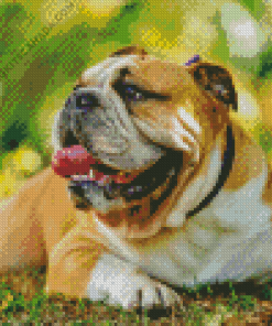 Old English Bulldog Diamond Painting