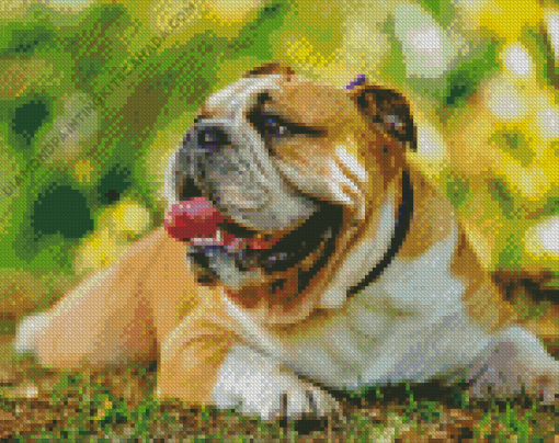 Old English Bulldog Diamond Painting