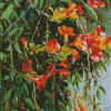 Orange Trumpet Vines Plants Branch Diamond Painting