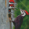 Pileated Woodpecker Little Birds Diamond Painting