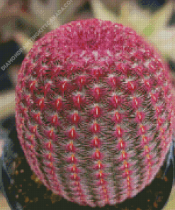 Pink Cactus Plant Diamond Painting