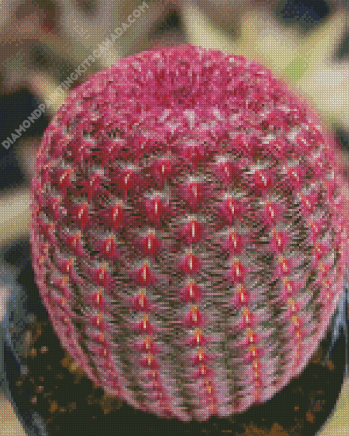 Pink Cactus Plant Diamond Painting