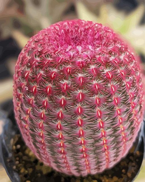 Pink Cactus Plant Diamond Painting