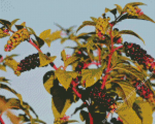 Pokeweeds Plant Tree Diamond Painting