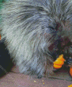 Porcupine Eating Pumpkin Diamond Painting