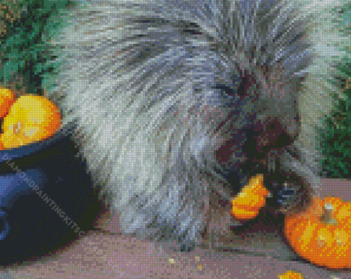 Porcupine Eating Pumpkin Diamond Painting