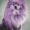 Purple Puppy Diamond Painting