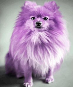 Purple Puppy Diamond Painting