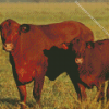 Red Cattle Diamond Painting