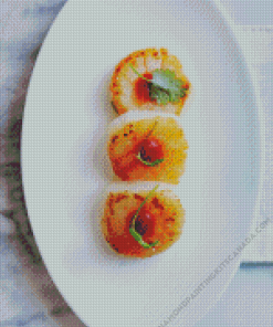 Scallops Dish Diamond Painting