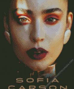 Sofia Carson Poster Diamond Painting