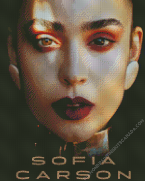 Sofia Carson Poster Diamond Painting